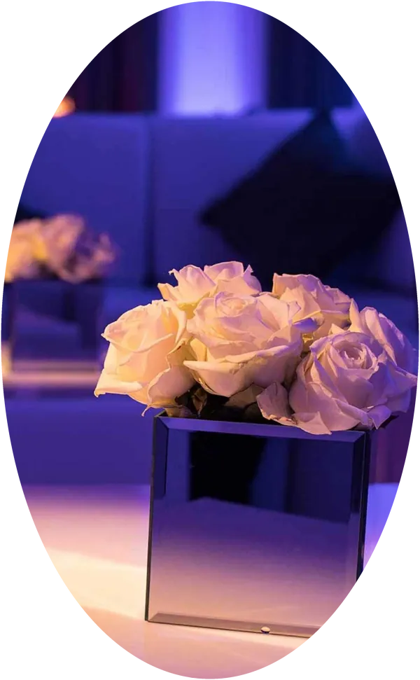 White roses in a mirrored vase